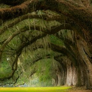 Meet your Posher, Paul